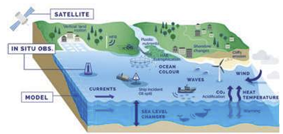 Robotics Technology for Sustaining Marine Ecosystems in Malaysia and Surrounding Regions