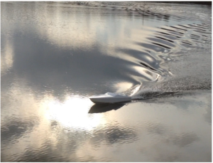 screenshot 2026 02 11 095659