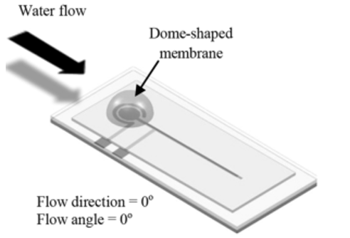 screenshot 2026 02 11 095815